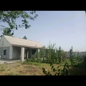 Satlyk jay Kaka etrap