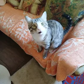 В самое доброе сердце