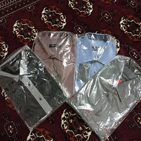 тазе койнеклер