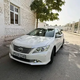 Toyota Aurion 2013