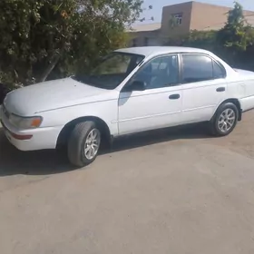 Toyota Corolla 1993