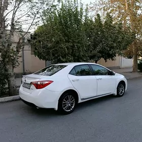Toyota Corolla 2014