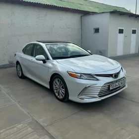 Toyota Camry 2023