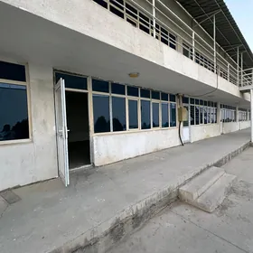 Ammarlar merkezinde ofis