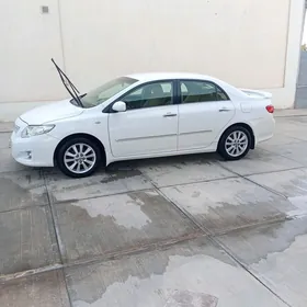 Toyota Corolla 2010