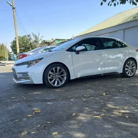 Toyota Corolla 2020