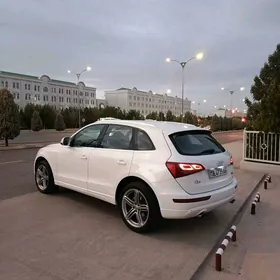 Audi Q5 2010