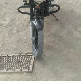 Fekon FK200-14G 2023