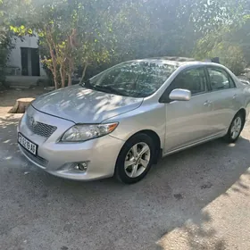 Toyota Corolla 2008