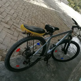 Welik 29