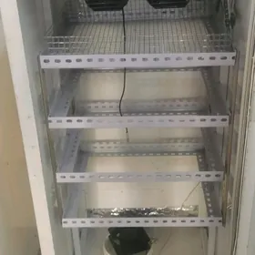 Inkubator