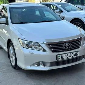 Toyota Aurion 2013