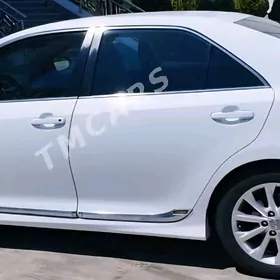 Palta Camry Molding Nikel