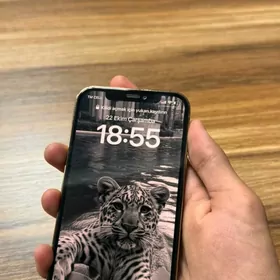ıphone 12pro