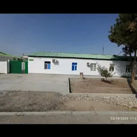 Ãnew Sarlyk JAÝ SENTRDA