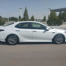 Toyota Camry 2021
