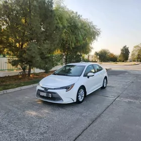 Toyota Corolla 2021