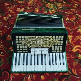 аккордеоны восход и аккорд.