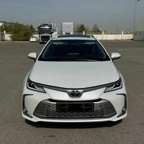 Toyota Corolla 2024