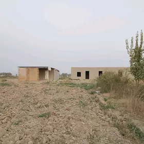 onumçilik malldarcılık