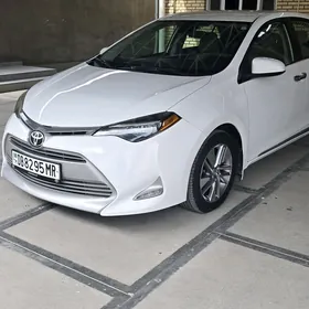 Toyota Corolla 2019
