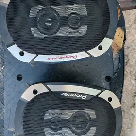 Pioneer kolonka