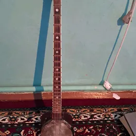 Plektrli dutar (tar)