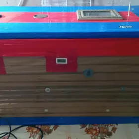 inkubator