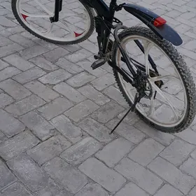 welik bmw