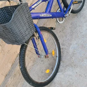 welsepet tigir kama welik