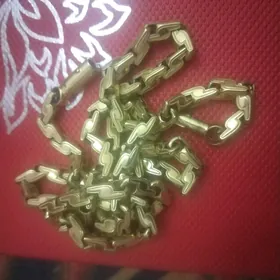 Gyzyl bold