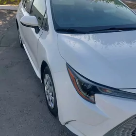 Toyota Corolla 2020