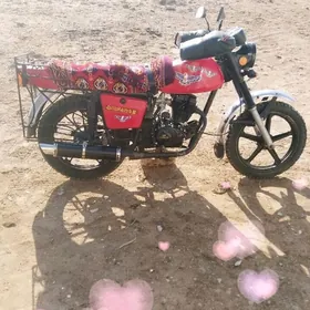 Fekon FK200-14G 2025