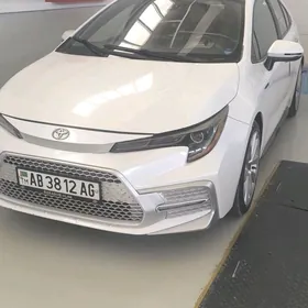 Toyota Corolla 2021