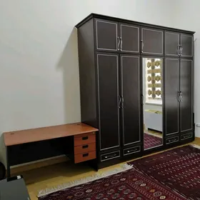 Şaýol elitka oglana komnat