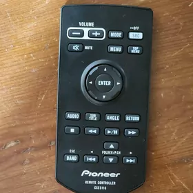 Pioneer