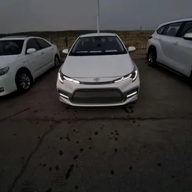Toyota Corolla 2020