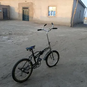 Kama tigir