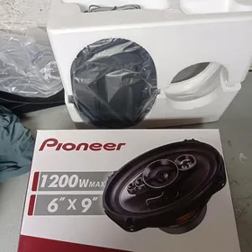 Pioneer kalonka