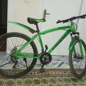Turkmenistan tigir