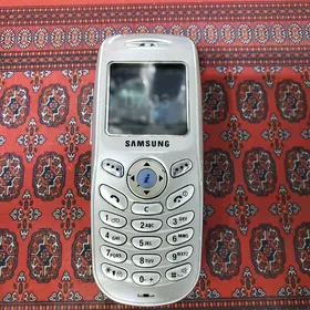 samsung X100 prostoy
