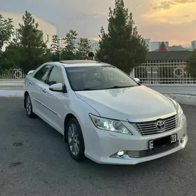 Toyota Aurion 2013