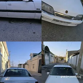 Opel Omega 1992