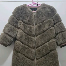 şuba
