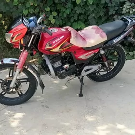 Fekon FK150-8G 2013