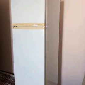 5aý garaşaryna HALODILNIK