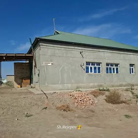 satlyk