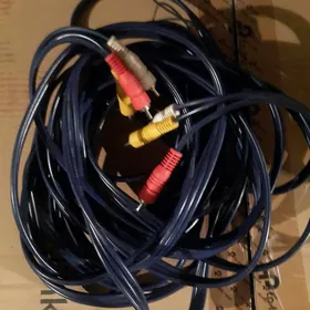 ТЮЛЬПАН   10 МЕТР