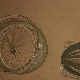 AYYS WELIGIN KASNAKLARY