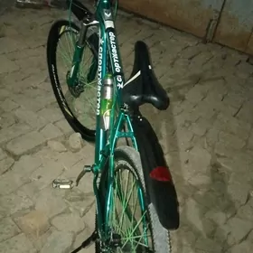 sport master